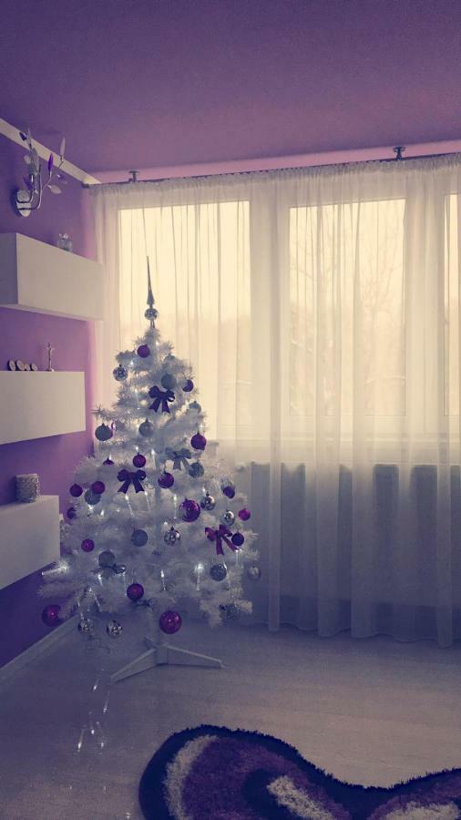 Apartament 2 Camere Bukareszt Zewnętrze zdjęcie